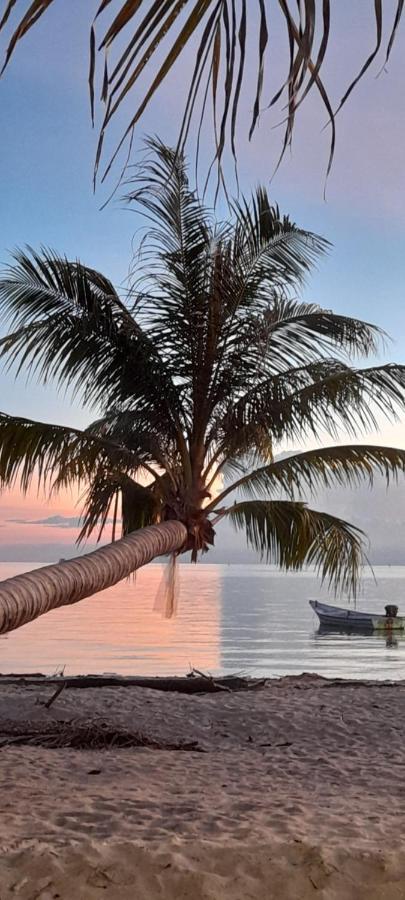 Tea Moon Beach House Thongsala Dış mekan fotoğraf