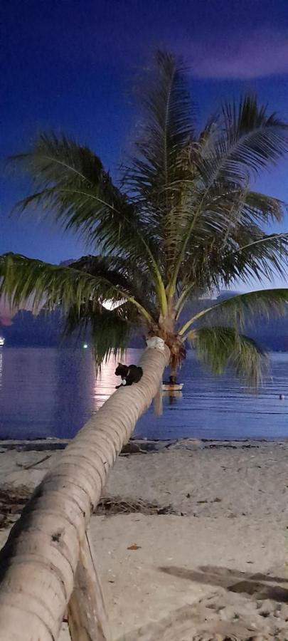 Tea Moon Beach House Thongsala Dış mekan fotoğraf